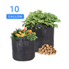 CastleGreens Premium Black 10 Gallon Fabric Grow Pot w/Handles